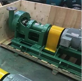 6金麟2.jpg 6金麟2.jpg